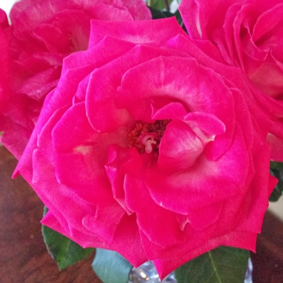 Meet your Posher, M - Picture 1 of 1